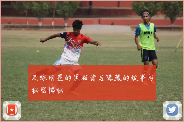 足球明星的黑猫背后隐藏的故事与秘密揭秘