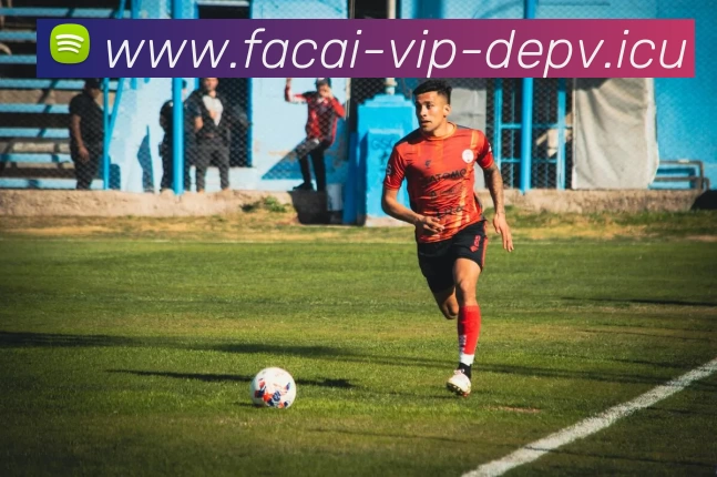 华体会体育平台生态图